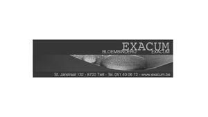 https://exacum.be/